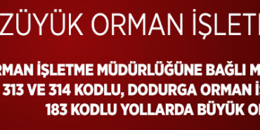 orman