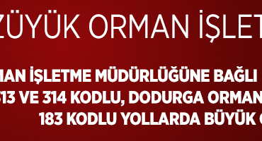 orman