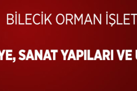 orman ilan