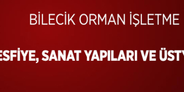 orman ilan