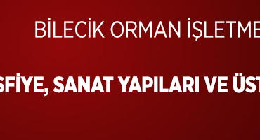 orman ilan