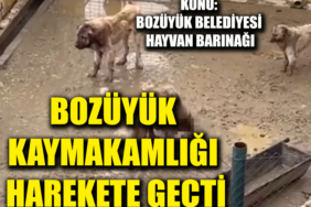 wfeagrshbrt