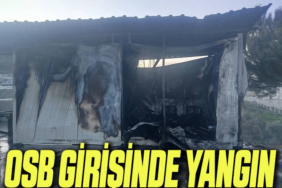 yangın
