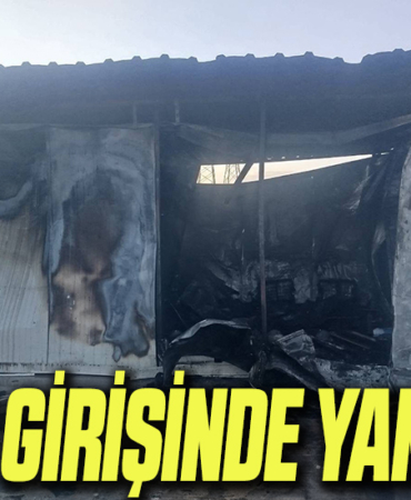 yangın