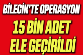 15 bin