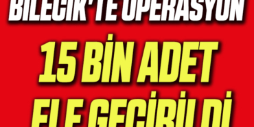 15 bin