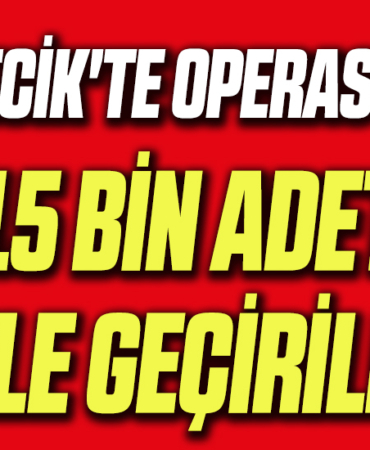 15 bin