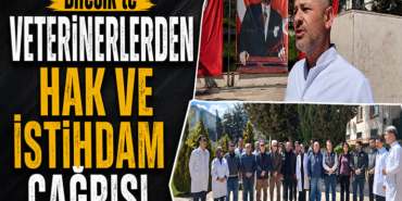 6ı7yo8