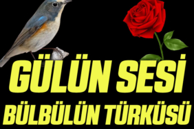 GÜL