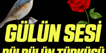 GÜL