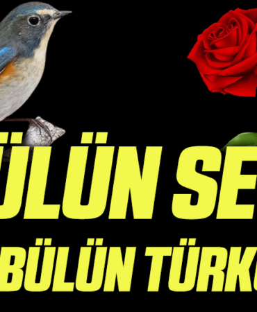 GÜL