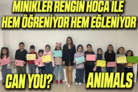 RENGİN