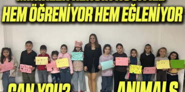 RENGİN