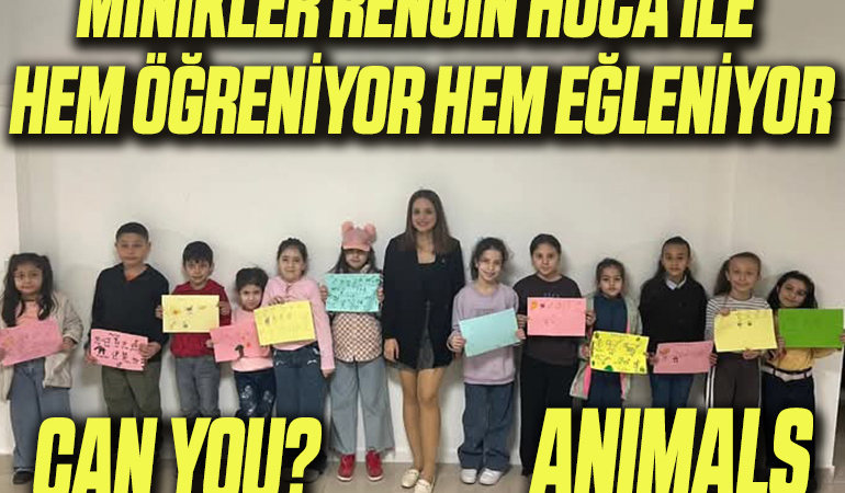 RENGİN