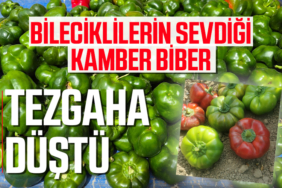 TEZGAHA DÜŞTÜ