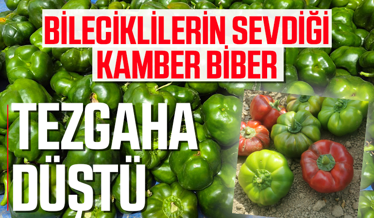 TEZGAHA DÜŞTÜ