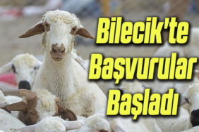 başvuru