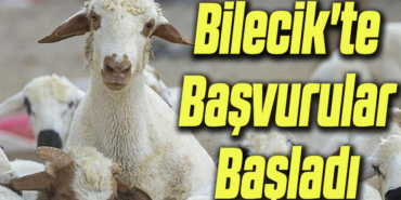 başvuru