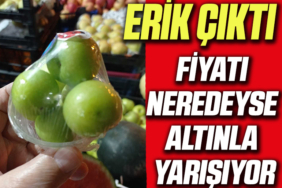 erik