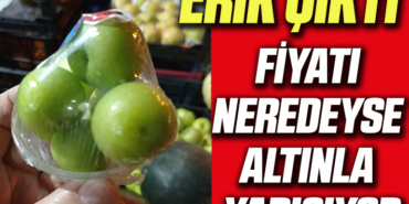 erik