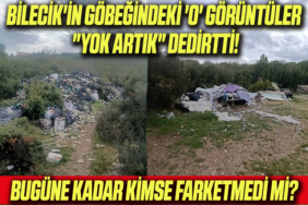 görüntü