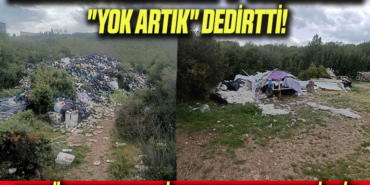 görüntü