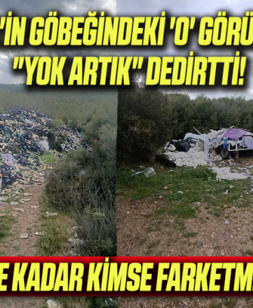 görüntü