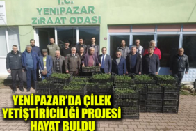 hmjlçk