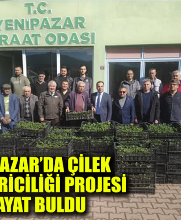 hmjlçk