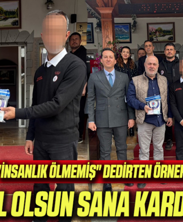 insanlık