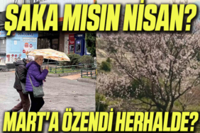 nisan