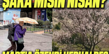 nisan