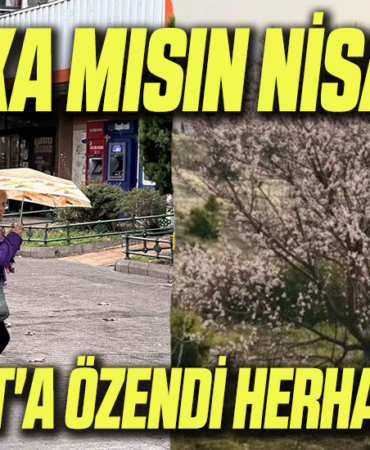 nisan
