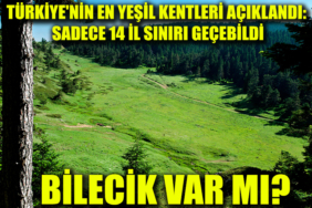 orman