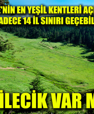 orman
