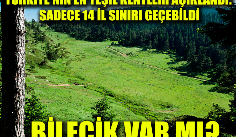 orman