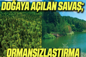orman