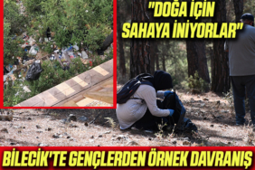 örnek
