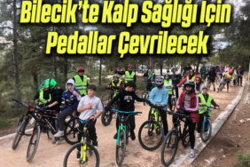 pedal