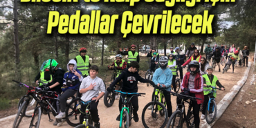 pedal