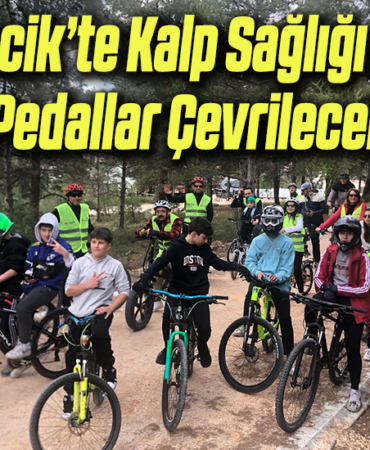 pedal