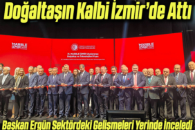 sektör