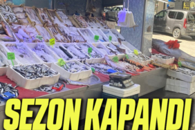 sezon