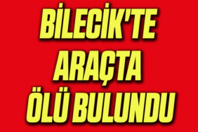şş