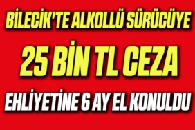 sürücü