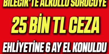 sürücü