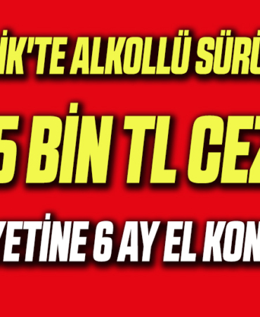 sürücü