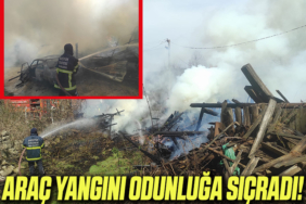 yangın