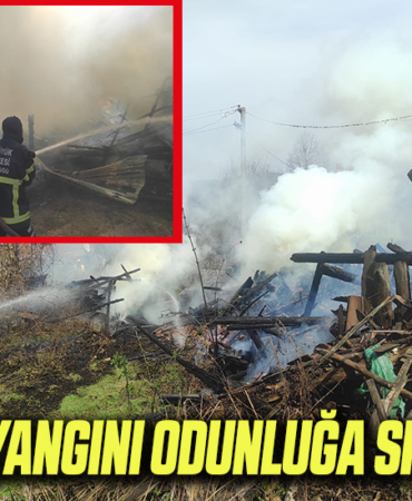 yangın
