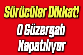 yol